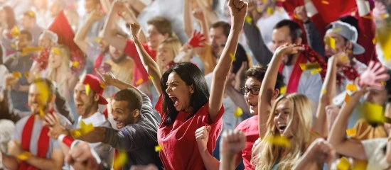 Sport : sécurité des manifestations sportives