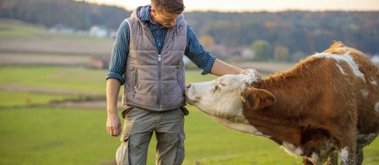 Agriculture : augmentation de plusieurs aides de la Pac au titre de 2023