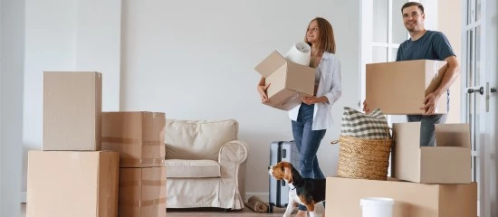 Les banques ouvrent petit à petit le robinet du crédit