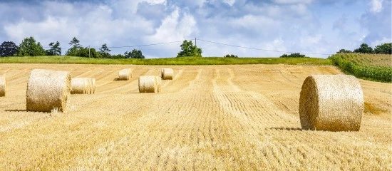 Baux ruraux&nbsp;: forte hausse du montant des fermages