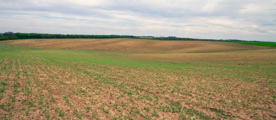 Le prix des terres agricoles et viticoles en 2023