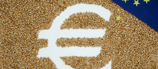 Exploitants agricoles : les montants 2024 de certaines aides Pac