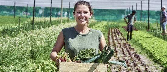 Exploitants agricoles : fixation du montant définitif 2024 de plusieurs aides Pac