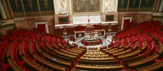 Absence de loi de finances pour 2025 : la loi spéciale est publiée