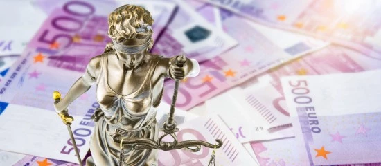 Les tribunaux des activités économiques entrent en fonction !