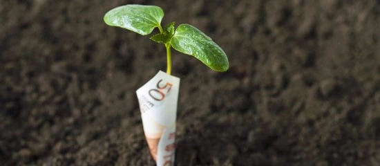 Exploitants agricoles : comment demander l’aide à la trésorerie ?