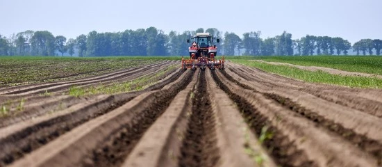 Mise à disposition d’une société de parcelles agricoles louées&nbsp;: il faut les exploiter !