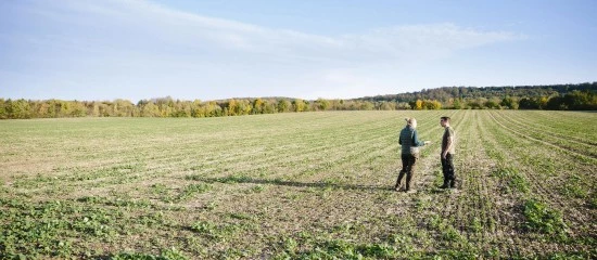 Préemption de la Safer sur une parcelle agricole&nbsp;: le droit du vendeur de se retirer