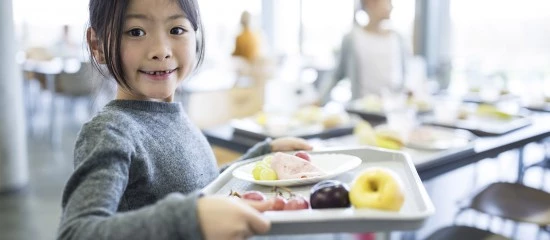 Restauration collective : interdiction des contenants alimentaires en plastique