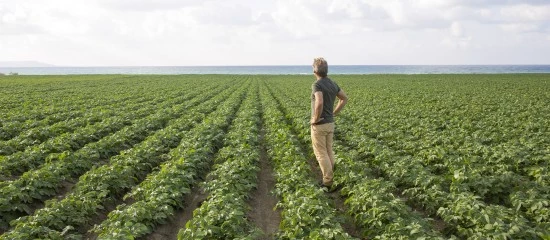 Violation du droit de préemption de l’exploitant agricole : quel délai pour contester ?