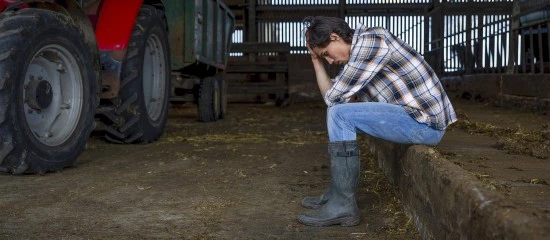Exploitants agricoles : le dispositif de prêts structurels garantis par l’État est en place