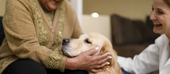 Médico-social : accueil d’animaux de compagnie dans les Ehpad