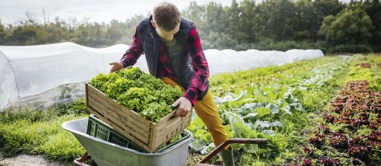 Prorogation de deux crédits d’impôt spécifiques aux exploitants agricoles
