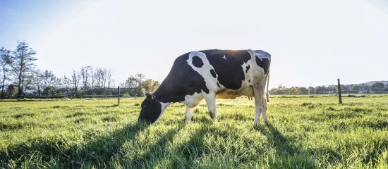 Loi d’orientation agricole : les principales mesures