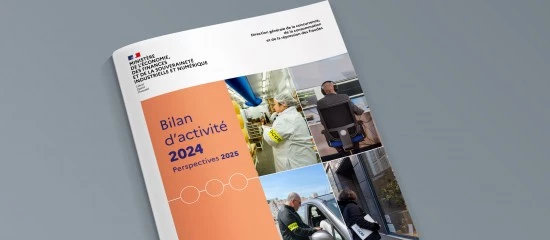 DGCCRF&nbsp;: près de 65 000 contrôles réalisés en 2024