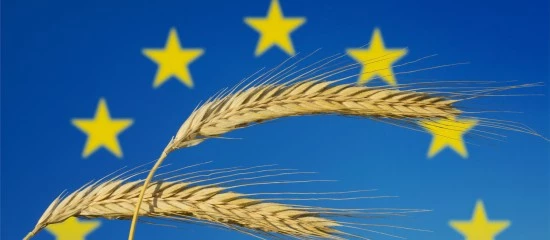 Exploitants agricoles : plus que quelques jours pour déposer votre déclaration Pac