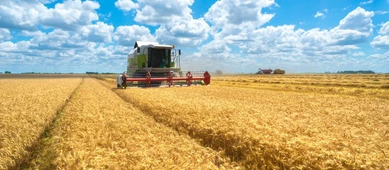 Exploitants agricoles : le calendrier de versement des aides Pac 2025