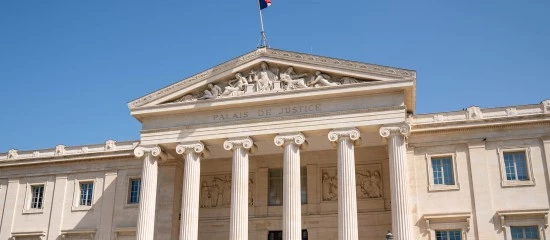 Nullité des décisions en droit des sociétés : du nouveau !