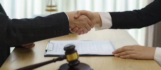 Professionnels du droit : activité de consultation juridique