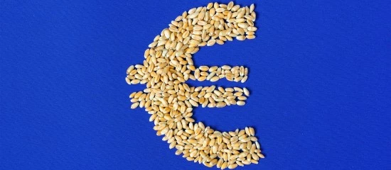 Agriculture : augmentation de plusieurs aides de la Pac au titre de 2024