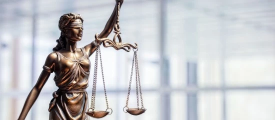 Nullité des décisions en droit des sociétés : du nouveau !