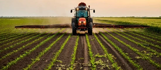 Environnement : responsabilité de l’État pour préjudice écologique