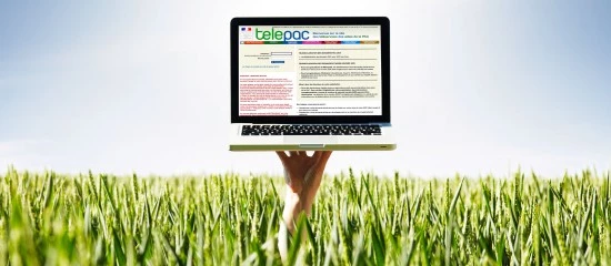 Exploitants agricoles : les modalités d’accès à Telepac sont simplifiées