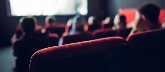 Culture : quel soutien financier pour les petites salles de spectacle ?