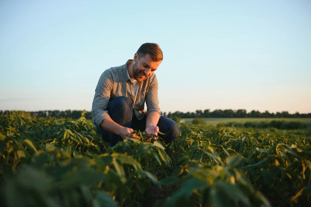 Exploitants agricoles&nbsp;: renforcement de la déduction pour épargne de précaution
