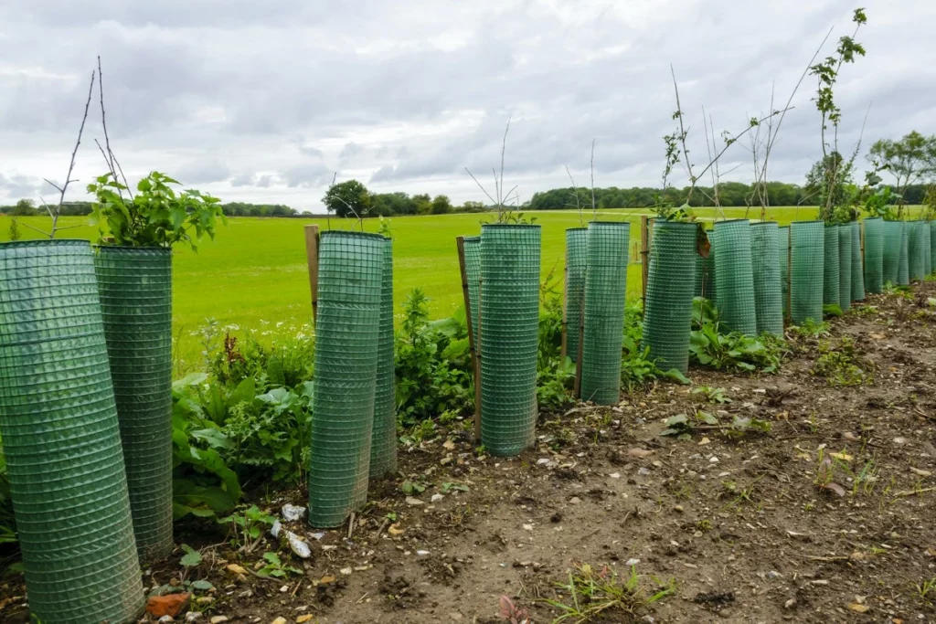 Exploitants agricoles : hausse du montant de plusieurs aides Pac au titre de 2025